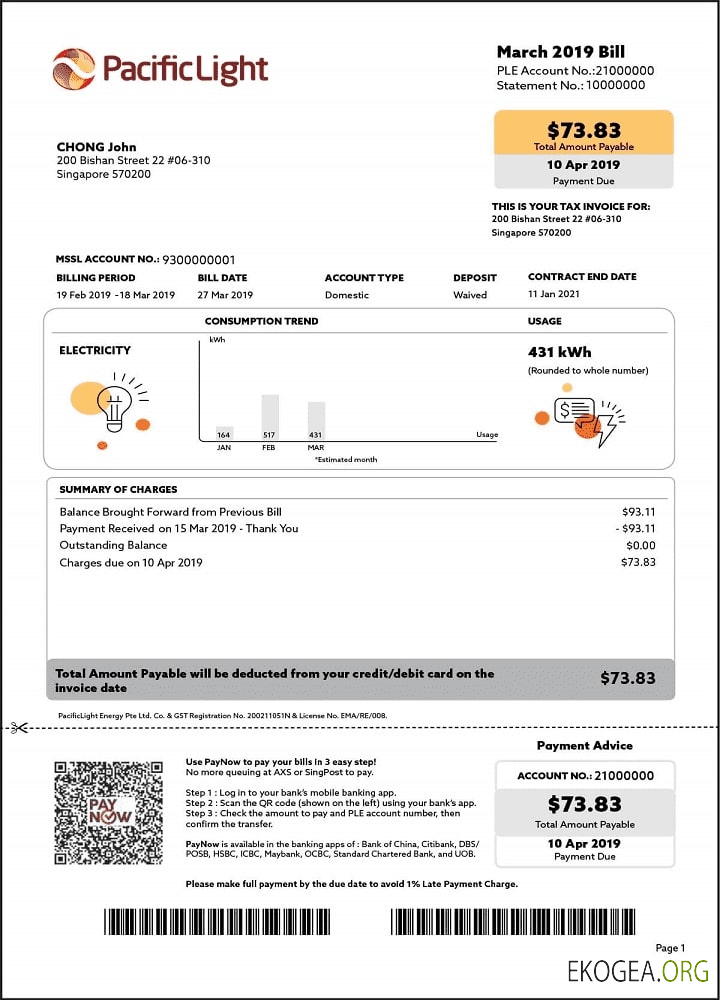 Singapore Pacific Light electricity utility bill template in Word and PDF format